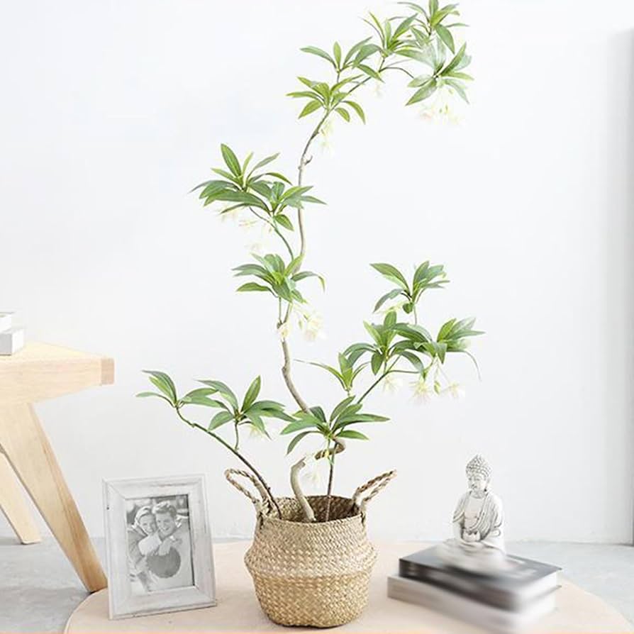 緑色 女性像装飾 インテリア小物コンクリート製 Amazon｜HGJH 人工観葉植物 フェイクグリーン インテリア 玄関